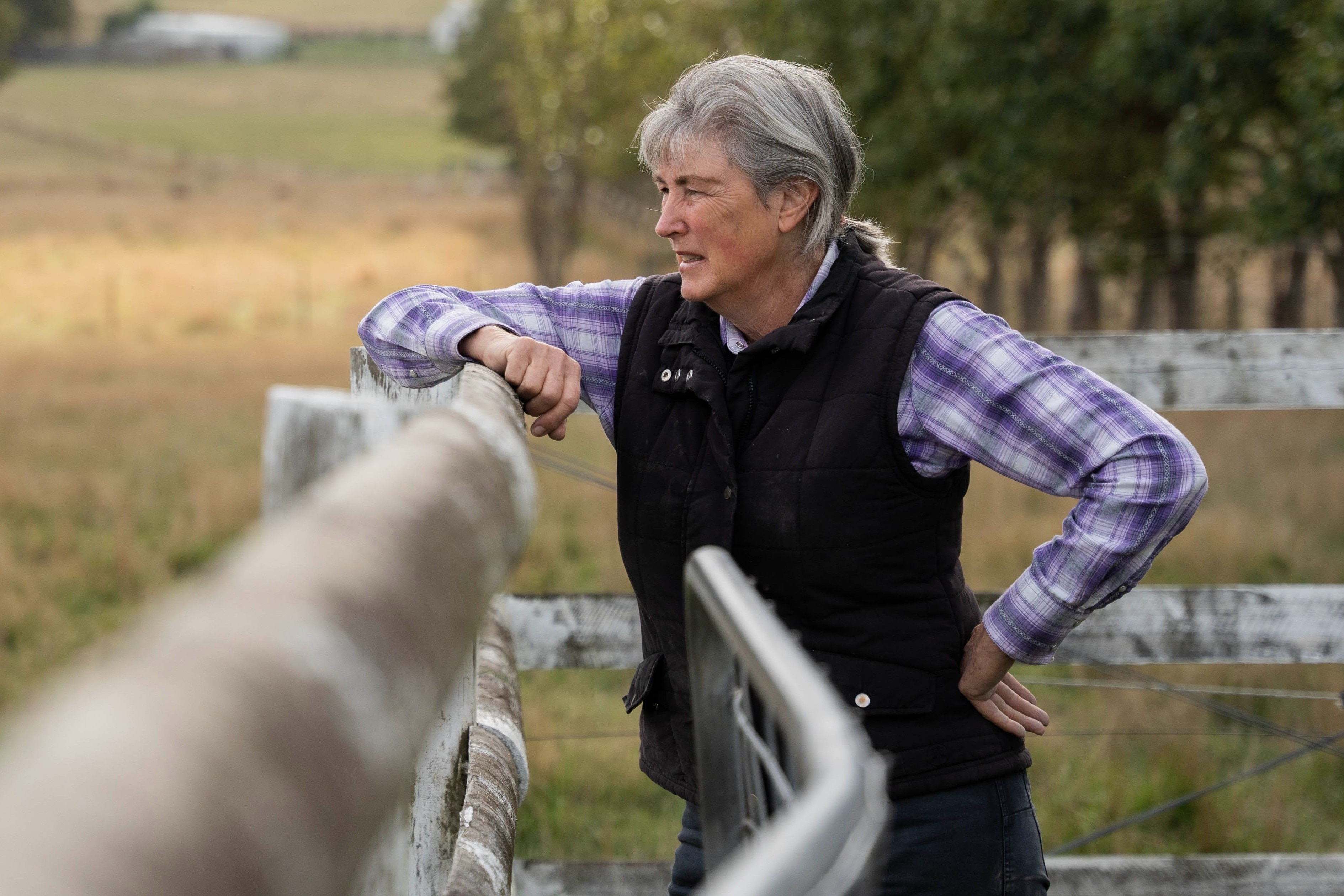 A woman leans on a fence on a rural property.