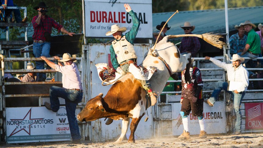 A bull rider throws one of his hands in the air as the bull bucks.