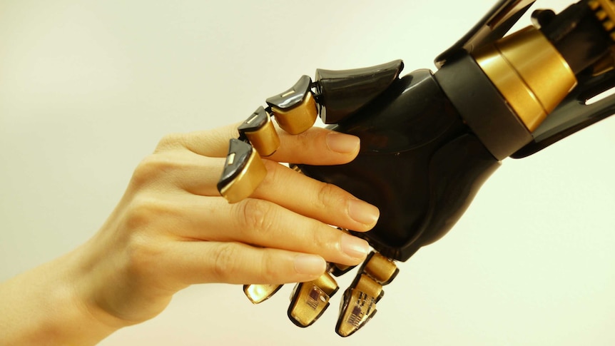 A picture of a robot hand touching a human hand
