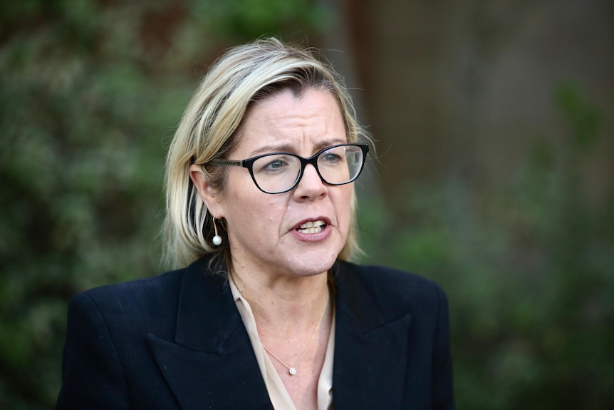 Libby Mettam mid-speech addressing media wearing a blue blazer and glasses