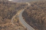 Aerial view of burnt bush on Tasmania's Forestier Peninsula