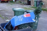 Artificial Christmas tree in a plastic wheelie bin.