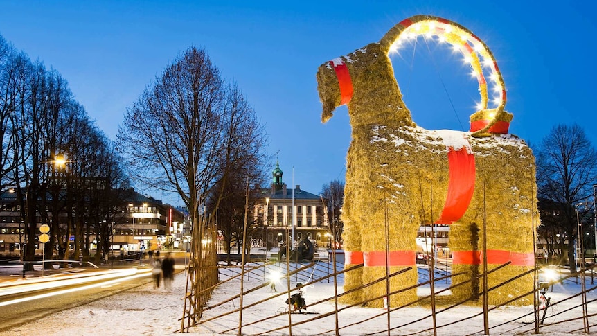 Gavle Goat stands in the snow, surrounded by a traditional wooden fence