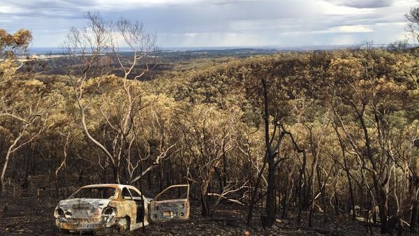 Adelaide Hills bushfire ground