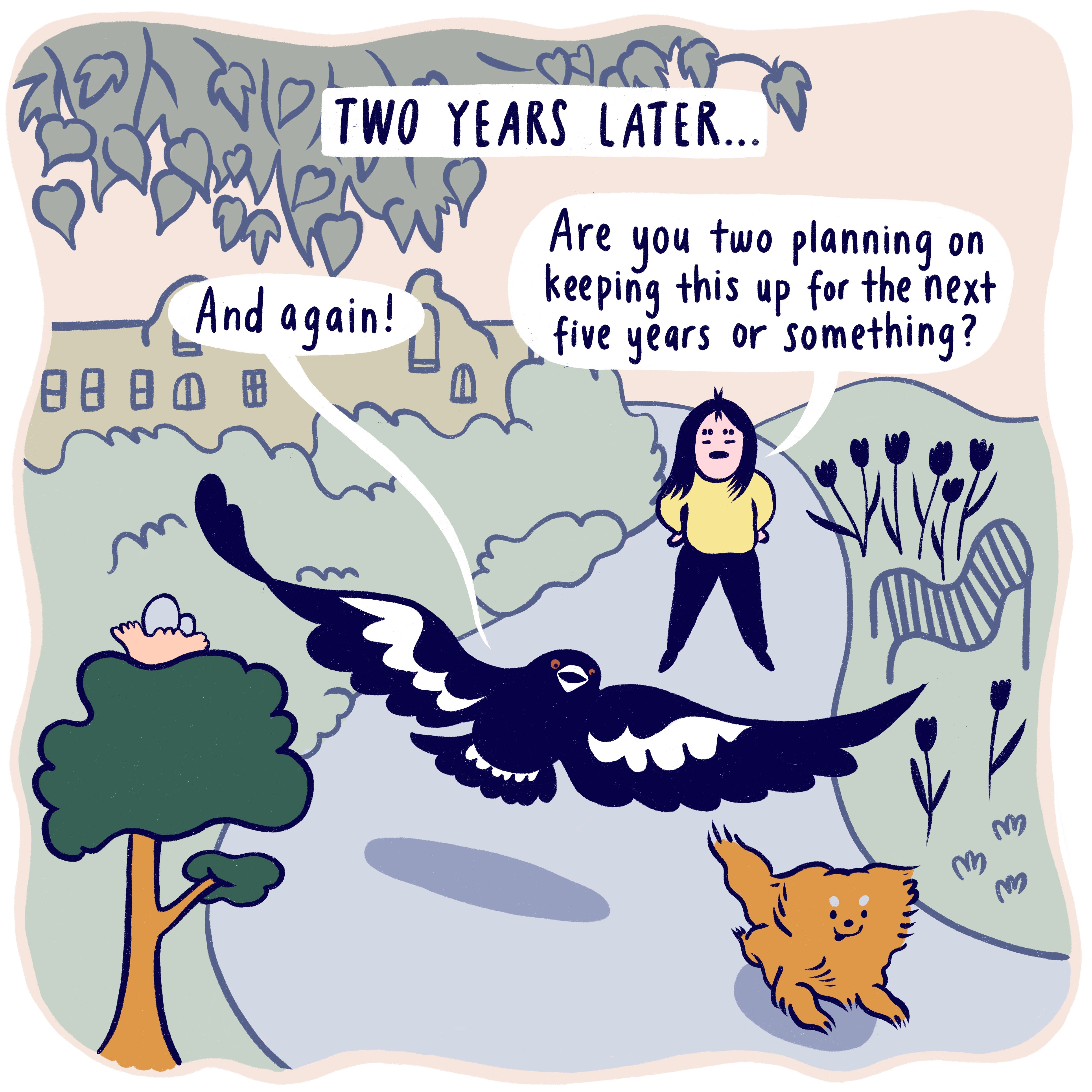 Conversations with animals: Five-year plans - ABC Everyday