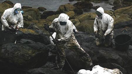 Volunteers clean up after oil spill