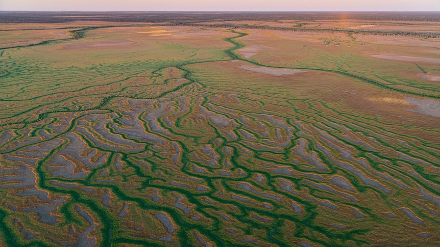 River systems from aerial view, green and pink rivers converge