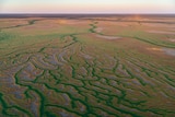 River systems from aerial view, green and pink rivers converge