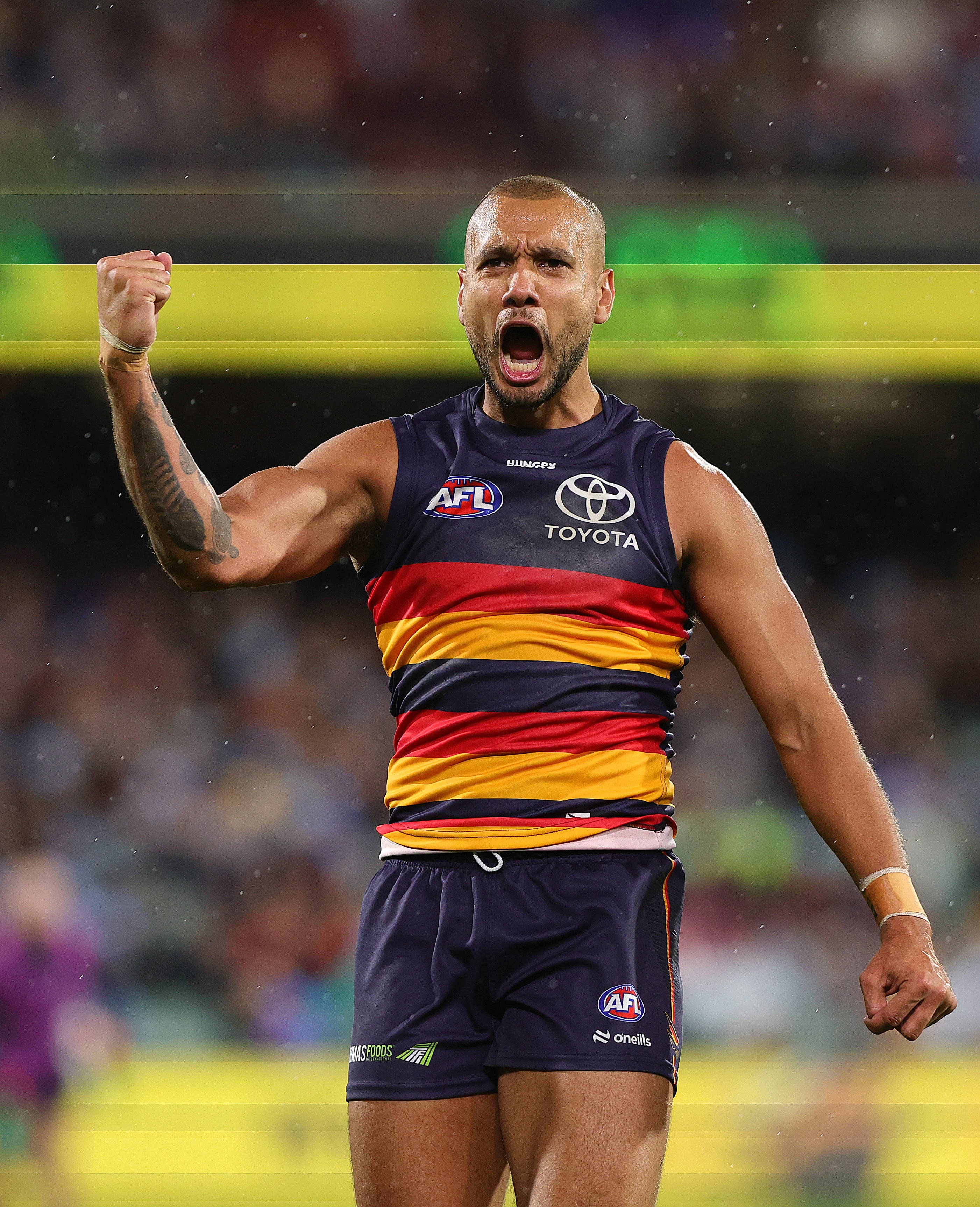 Live: Crows outlast Cats in thriller amid debutant’s heroics after head-clash