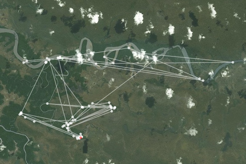 Jurgen the crocodile's tracking map shows how far he has moved since September, 2014 and was last detected on August 1.