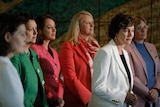 Teal PMs Allegra Spender, Monique Ryan, Sophie Scamps, Kylea Tink, Kate Chaney and Zali Steggall at a press conference 