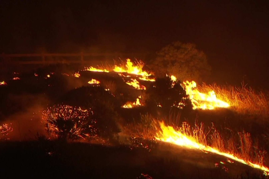 A fire burning in bushland at night