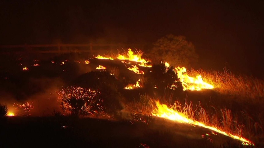 A fire burning in bushland at night