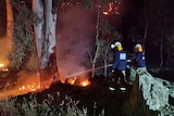 Crews fight a blaze near Adelaide