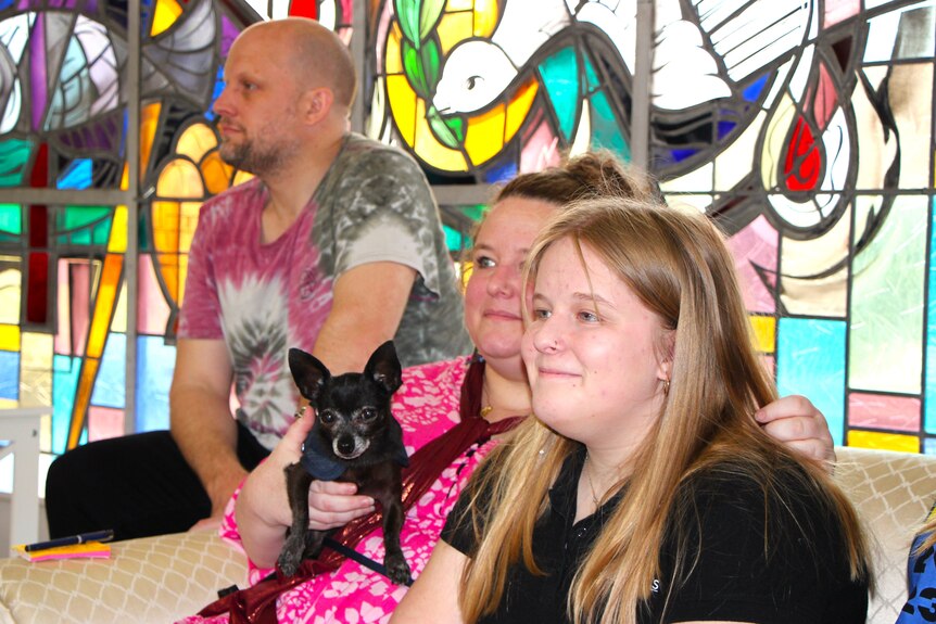 Black chihuahua on owner's lap in church in front of stained glass windows 