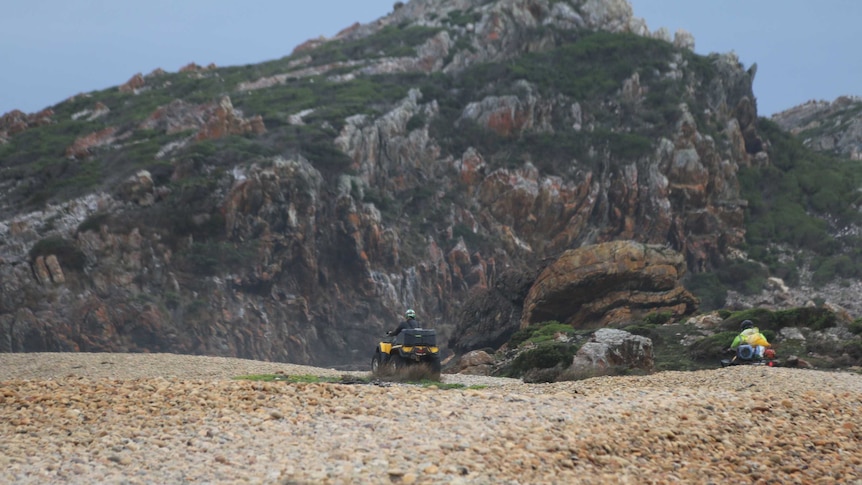 Quad bikes are seen riding in an area closed to vehicles in the Arthur Pieman Conservation Area on Tasmania's north-west coast