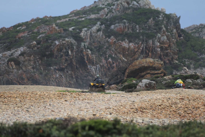 Quad bikes are seen riding in an area closed to vehicles in the Arthur Pieman Conservation Area on Tasmania's north-west coast