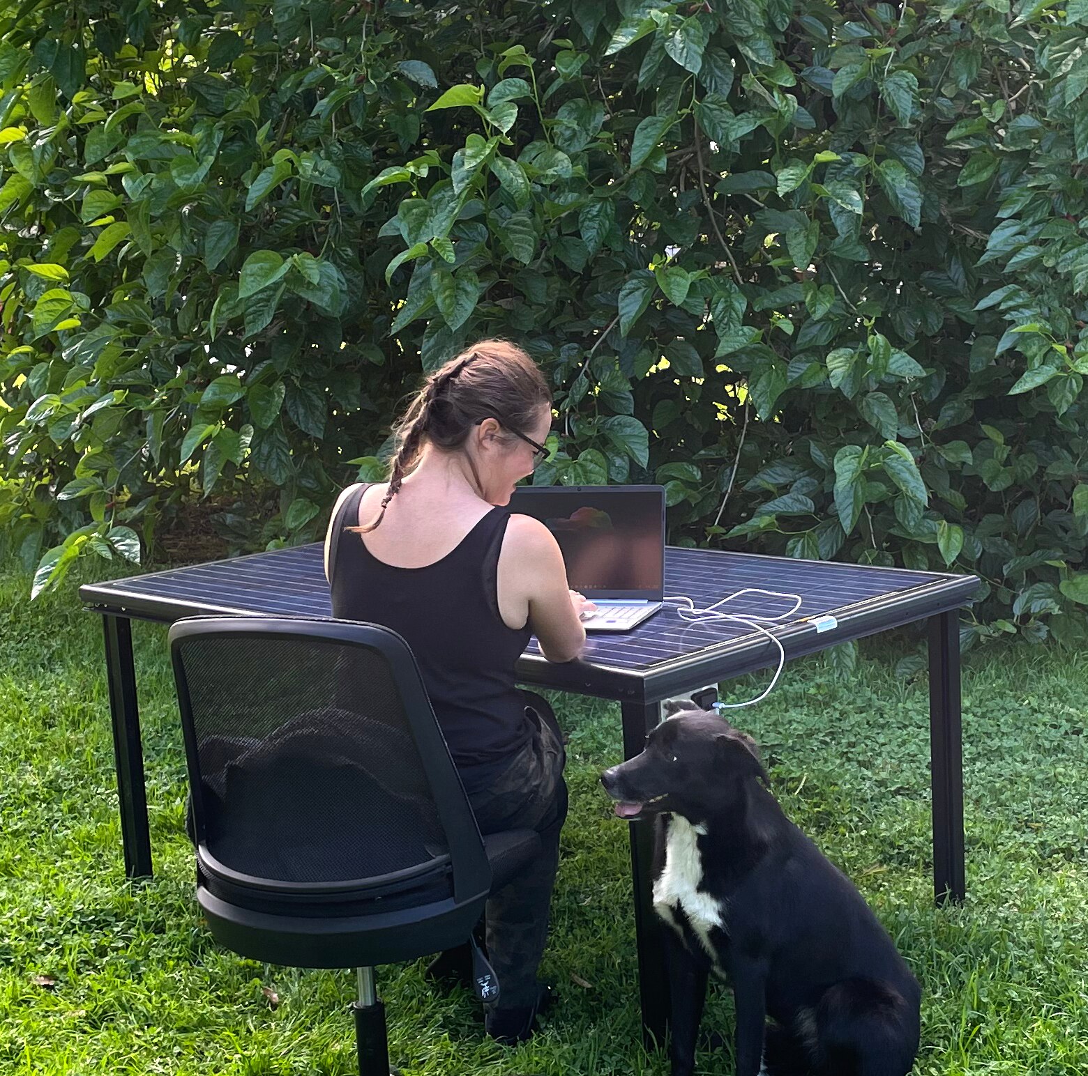 A woman sits at a table made of solar panels with a dog next to her in a garden.