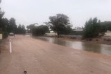 Flooding near a road.