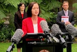 Yvette D'Ath speaking to the media at Speaker's Green at Parliament House in Brisbane.