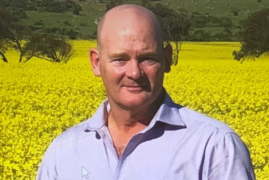 Bald middle aged man wearing a purple shirt holding a spring of yellow canola while standing in a field of canola