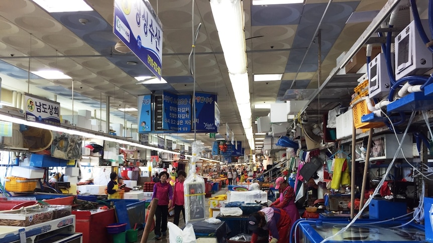 A busy indoor fish market with aquaria and signs crammed in