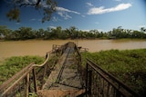 A lopsided jetty on the Thomson River near Longreach