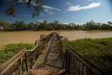 A lopsided jetty on the Thomson River near Longreach