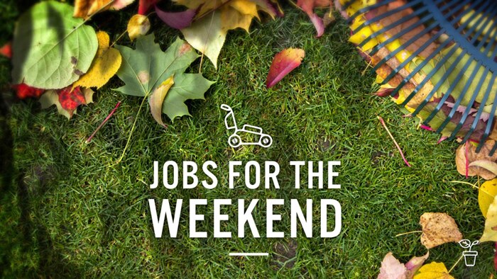 Lawn with autumn leaves being raked with text 'Jobs for the Weekend'