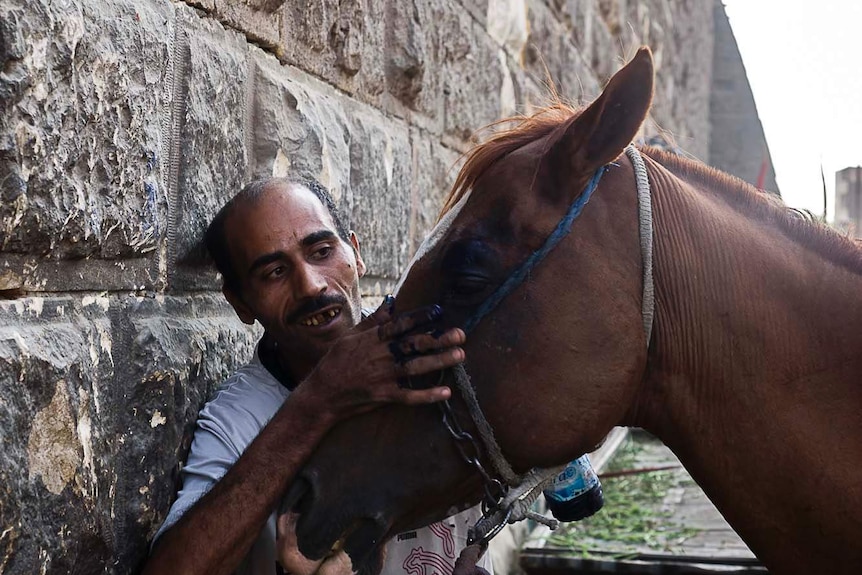 Mohamed holds a horse's face