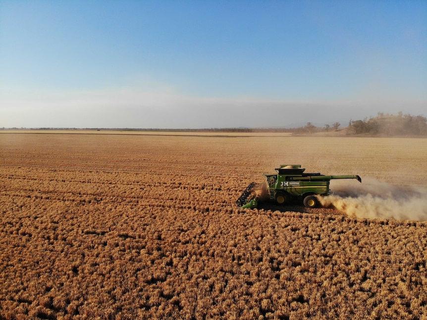 Harvesting underway on a farm near Narrabri, NSW.