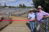 Two men stand in front of red ribbon at the official opening ceremony for new Sheep and Calf saleyard facilities.
