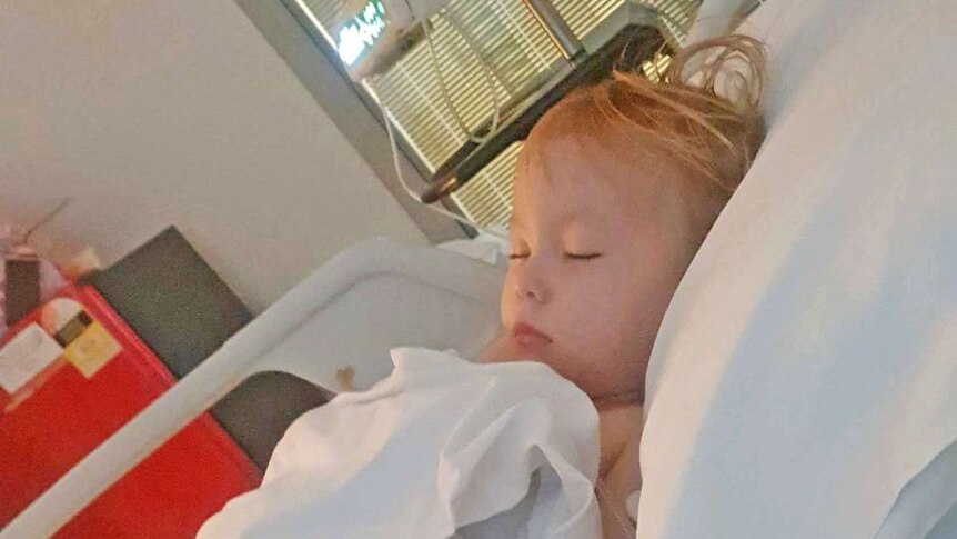 Saphira Harwood, 2, dilarikan ke rumah sakit di Brisbane dan menjalani operasi setelah menelan 20 baterai kancing.