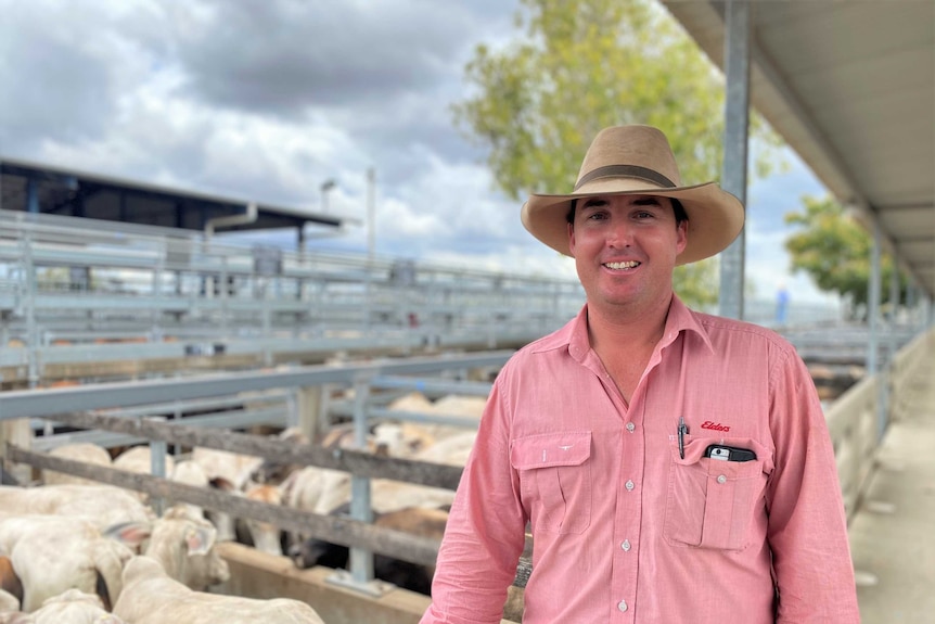 Man stands in front of pen of cattle.