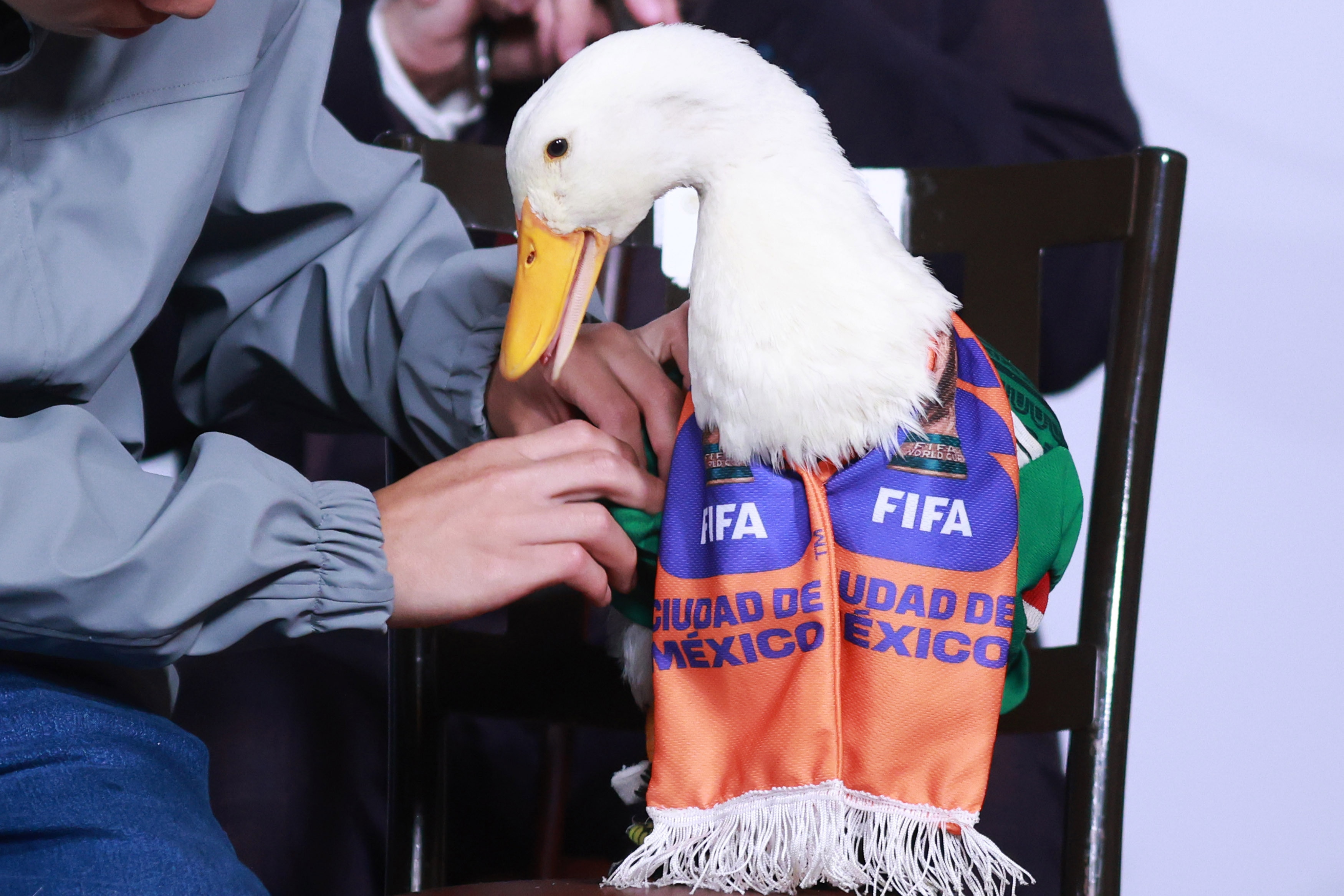 Merlin the duck wearing a sharp little FIFA-branded tie, sitting on a chair