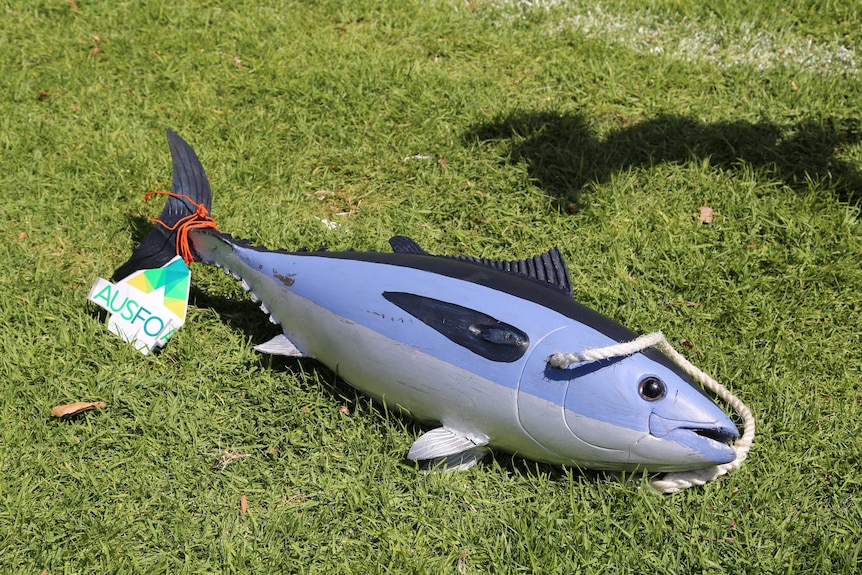 a fake tuna sits lengthwise on green grass.