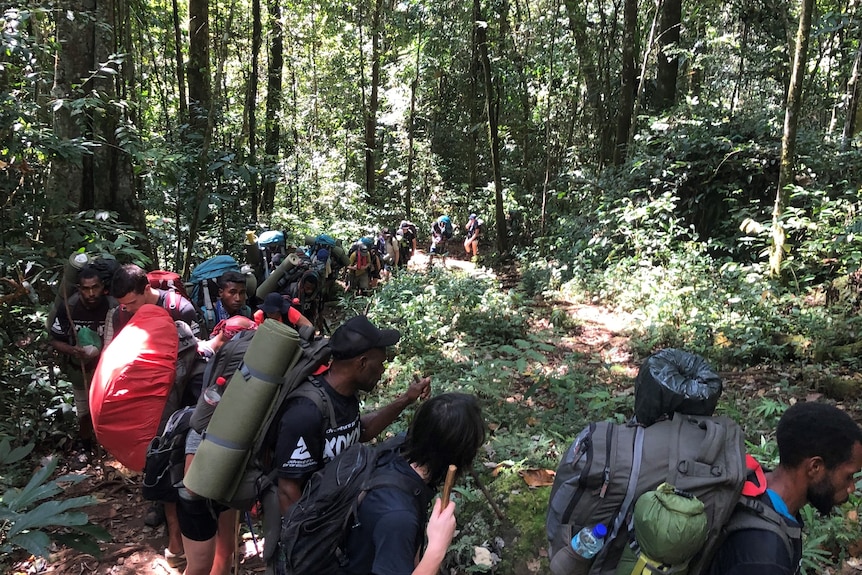 Looking down a hill in a rainforest, looking at string of people with backpacks and camping gear, making their way up the hill.