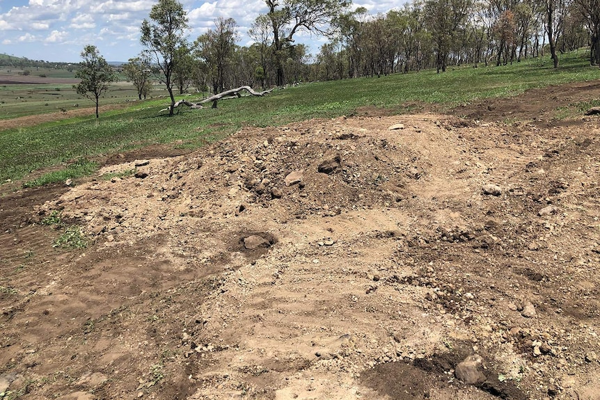 Site of a mass grave to bury horse carcasses in a paddock at a property near Toowoomba.