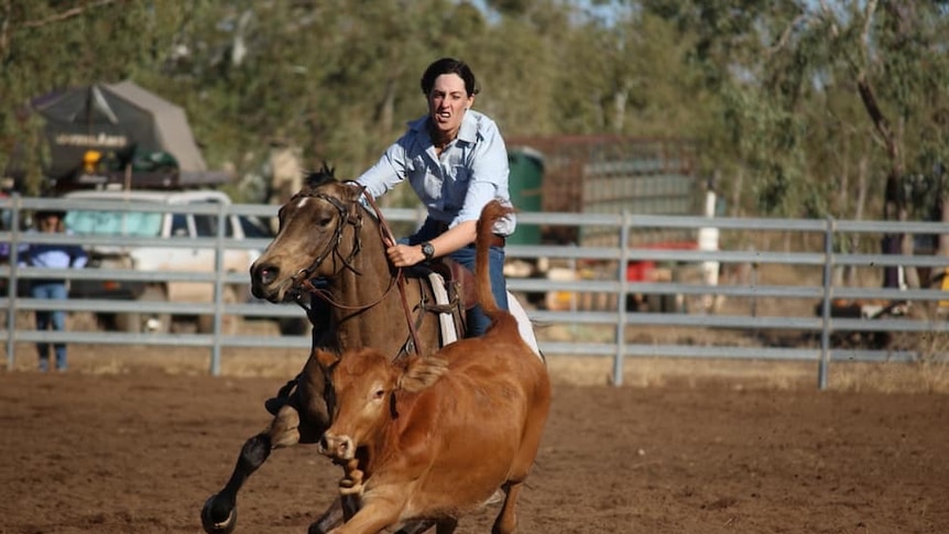 a young woman rides a horse chasing a calf inside an outdoor arena