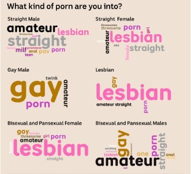A graphic showing what type of porn young Australians watch