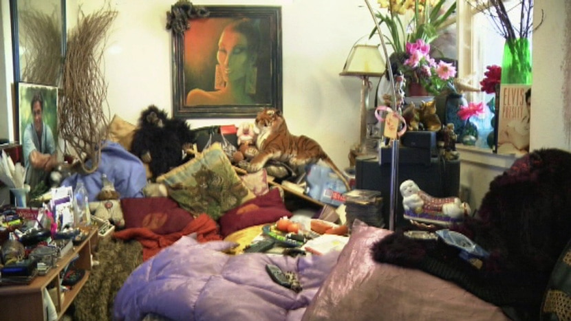 Hoarding dangers may affect millions