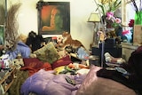 Hoarding dangers may affect millions