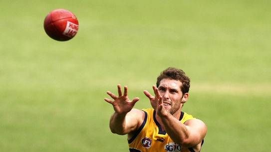 Crosshairs on ... Darren Glass is among the senior Eagles that Sydney will target at Subiaco. (file photo)