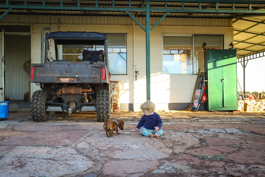 Wyatt at Nicholson Station