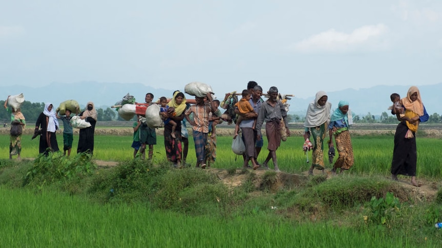 rohingya refugees carrying baggage across grassy field