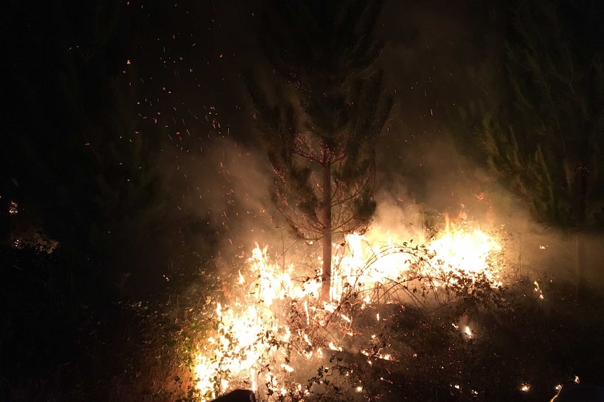 Bright flames from a bushfire burn in scrubland at night with sparks rising into the darkness.
