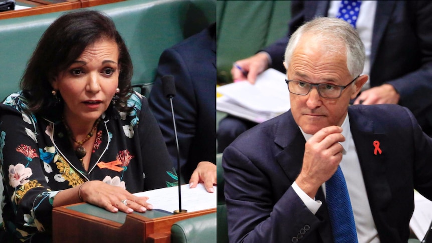 Composite image of Anne Aly (left) and Malcolm Turnbull (right) in Parliament.