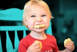 Toddler boy holding and eating a crumpet representing the stress family dinners can cause.