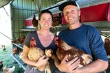 Alexi Cox and Mark Dragan holding chickens under the shade of one of their chicken tractors.