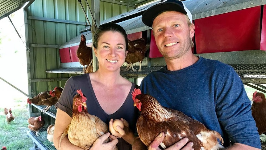 Alexi Cox and Mark Dragan holding chickens under the shade of one of their chicken tractors